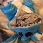 ㅅㅂ <b>배</b>에서 계속 소리<b>남</b>