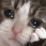 [NCT즌] 근데 이거 닮지안ㄹ았냐