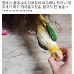 [TXT] 누가 범규랑 <b>토토</b>랑 싸우면