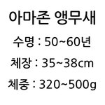 [TXT] 범규 앵무새가 <b>아마존</b> 앵무새라고....??