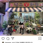 [긴급] 새로운 조합 등장