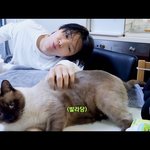 [NCT] <b>한</b> <b>프레임</b>에 냥이 두명 있는데오