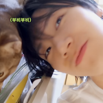 [NCT즌] 잘생긴 남자와 잘생긴 고양이... <b>good</b>
