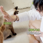 [NCT즌] 아앙 <b>기여워</b> ㅠㅠㅠㅠ 루이 ㅠㅠㅠ
