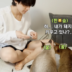 [NCT즌] 아... 내가 <b>돼지</b>를 키우고 있나