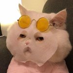 [드루와] 내인생죤나