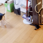 [NCT즌] 리온 왤케 웃김