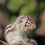 [댓글부탁해] 얘들아 짝남 상메 <b>초성</b> 해석좀 ㅠㅠㅠㅠㅠㅠ