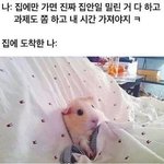 [댓글부탁해] 옛날에 유행했던 게임