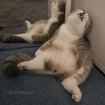 [드루와] 옆동에 크래비티 이사온거 <b>처음</b><b>앎</b>