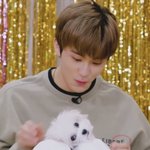 [NCT즌] <b>사이</b>좋은 <b>남매</b>