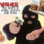 [NCT즌] <b>강쥐</b>키우는 찌찌들