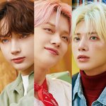 [모두드루와] 투바투 성격 총정리 (내가 해본다