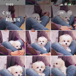 [NCT즌] <b>캡쳐</b> 오지게 갈김