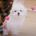 [NCT즌] 얘보다 마크가 더 귀엽다는 <b>종천</b>러..그는 대체