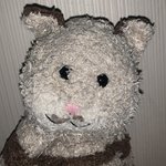 [NCT즌] 울 <b>집</b> 고양이