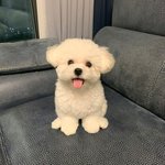 [모두드루와] 야 얘네 데뷔한대 라인업미침ㄷ