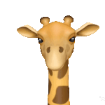 얘<b>도라</b> 나 오늘 생일이야!!!