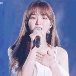 [레드벨벳] 완뭉 <b>vs</b> 완람