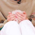 [NCT즌] 마크와 <b>민들레</b>