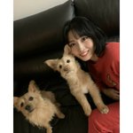 [이것좀봐줘] 모모 댕댕이 입양함