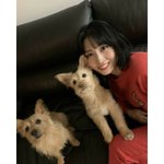 <b>모모</b> 강아지 둘이 되게 비슷하게 생기지않았냐