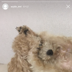[댓글부탁해] 약대 시험 안보고 개꿀로 입학하는 방법