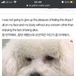 <b>아</b> 어그로 <b>뭐</b>라고 끌지 추천좀 하고가