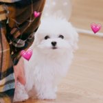 [19] <b>intp</b> 모여봐