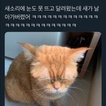 [댓글부탁해] 소녀재판 <b>미리</b>보기 다 결제한사람있음?