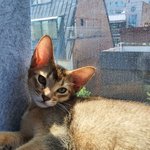 [NCT] 아니 진짜 진지하게 NCT V