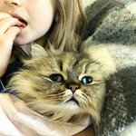 딱히 우울한 건 아닌 털뚠이