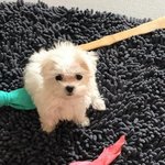 [NCT즌] <b>햇님</b>앙