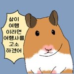 [댓글부탁해] 얘들아 과연 오늘 내 <b>앨범</b>에 <b>최애</b>가!!!