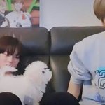 야 나 <b>언매</b>하는게 나을거 같지...?