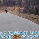 뷰맛집 산을 <b>등산</b>하는 곰 한마리..
