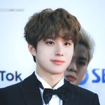 [NCT즌] 오늘 와주세요 <b>젭알</b>
