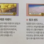 [드루와] <b>양키</b>캔들 향 좀 골라주셈 ㅜㅜ