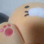 [이것좀봐줘] <b>춘식</b>이 입양했다