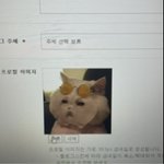 <b>블로그</b> 사진 골라줘!!!!!!