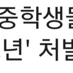 ❗07년생 중학생 노인폭행사건