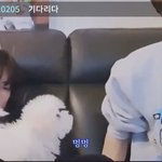 [NCT즌] ㅅㅂ 이거 본 사람