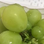 <b>샤대</b>먹는다