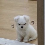 [꼭조언부탁] 이런 여자는 양아치같나요?