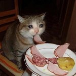 [댓글부탁해] <b>펜슬</b>아이라이너 클리오vs이글립스