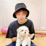 [NCT즌] 해찬이 코 대<b>갈이</b>가 핥아서 그런건가