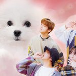 [NCT즌] 얘들아 근데 <b>와중</b>에 자리 완벽함