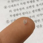 ㅁㅊ 카페 <b>얼음</b> 먹지마라