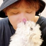 [NCT즌] 이거 봤냐 대<b>갈이</b>가 해찬이 코 핥아서