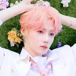 더비들 있어?